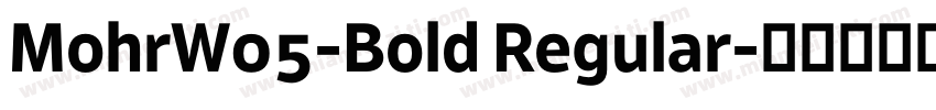MohrW05-Bold Regular字体转换